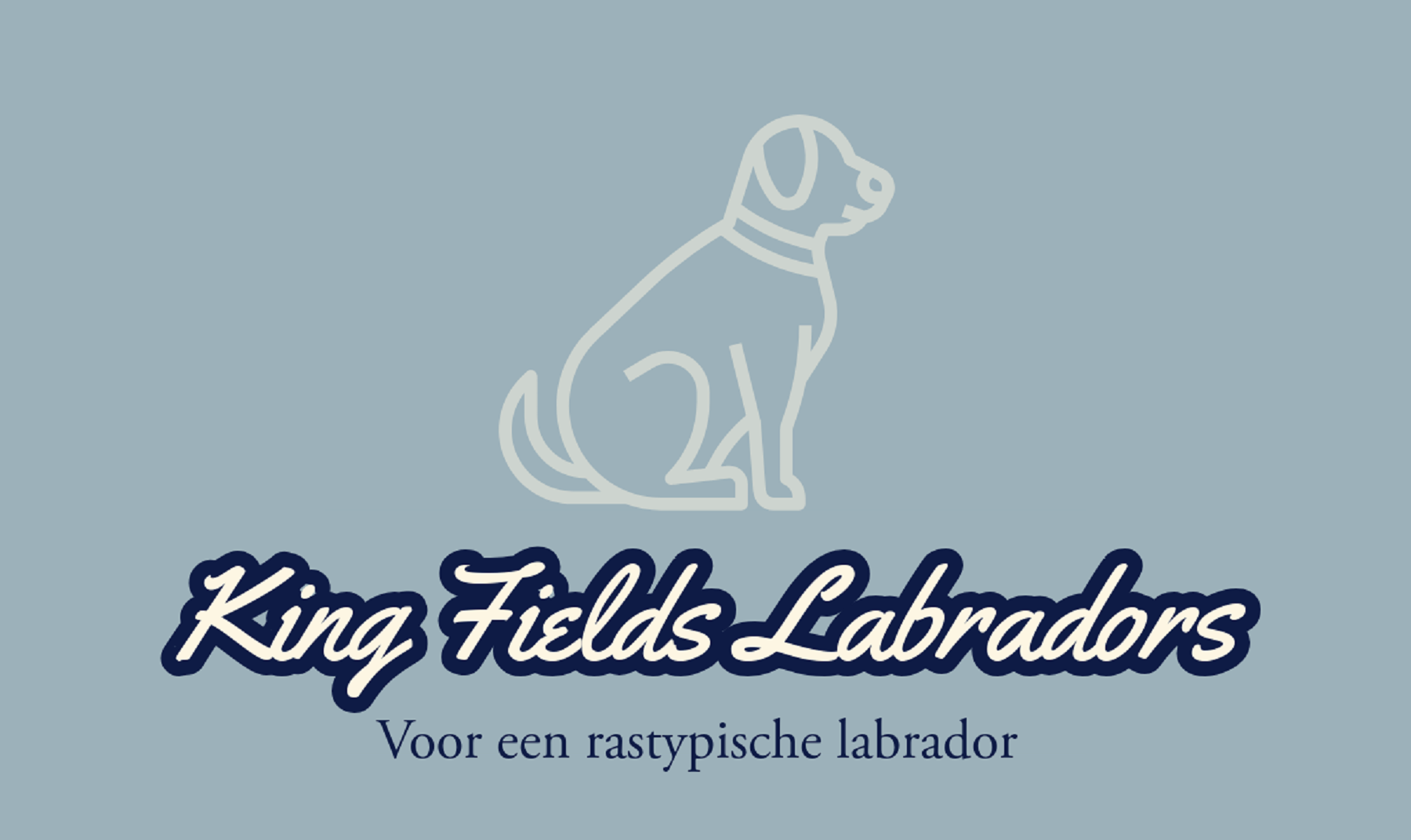 King Fields Labradors